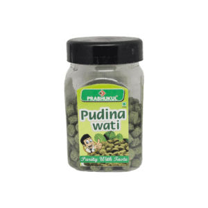 Pudina Wati 100Gm